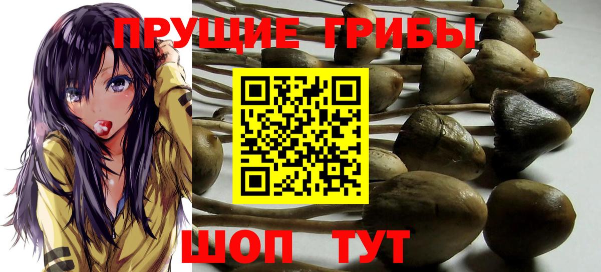Галлюциногенные грибы мухоморы Озёры